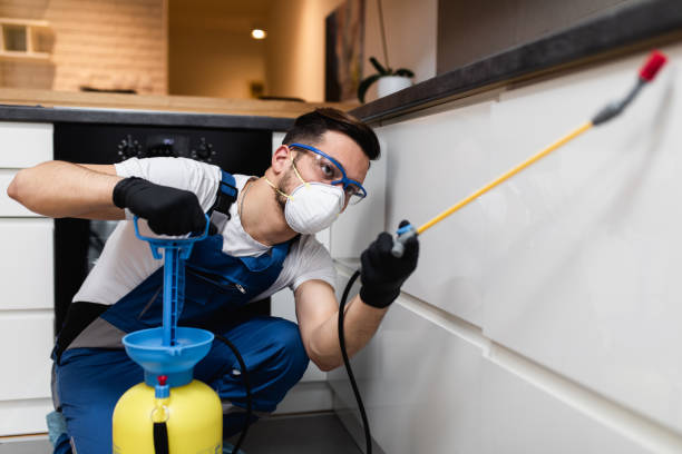 Best Commercial Pest Control Services  in Adelino, NM