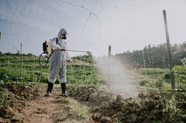 Best Affordable Pest Control Services  in Adelino, NM