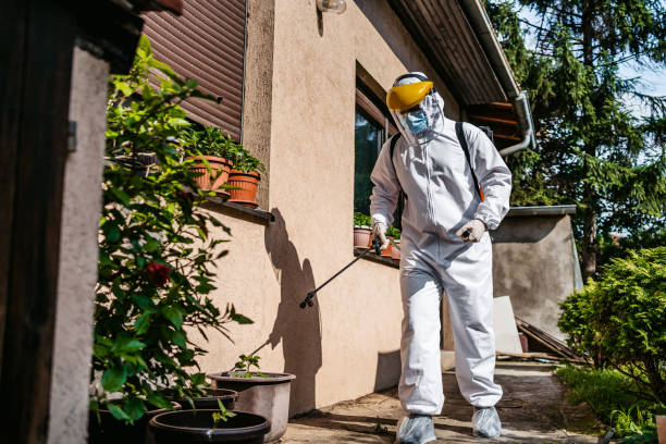 Best Commercial Pest Control Services  in Adelino, NM