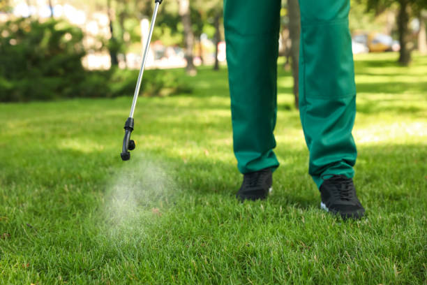 Best Local Pest Control Services  in Adelino, NM