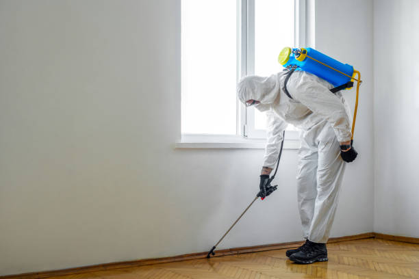 Best Pest Control Treatment  in Adelino, NM