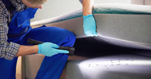 Best Bed Bug Extermination  in Adelino, NM